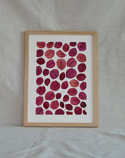 Bouganvillea Mix Puzzle A "S"