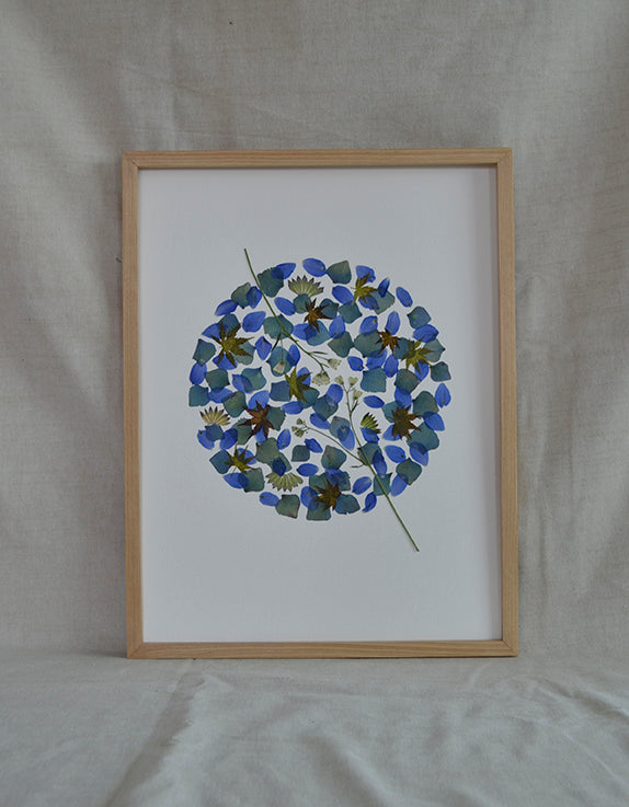 Circulo Azul y Verde "M"