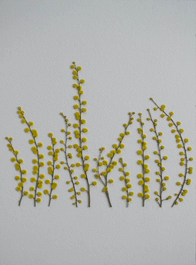 Aromo Trazos "S"