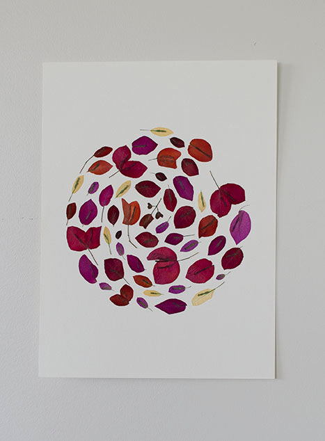 Bouganvillea Circulo "S"