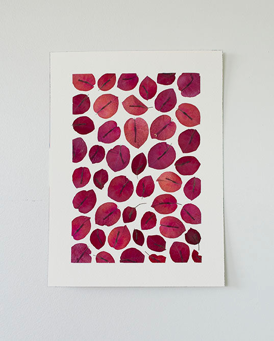 Bouganvillea Mix Puzzle A "S"