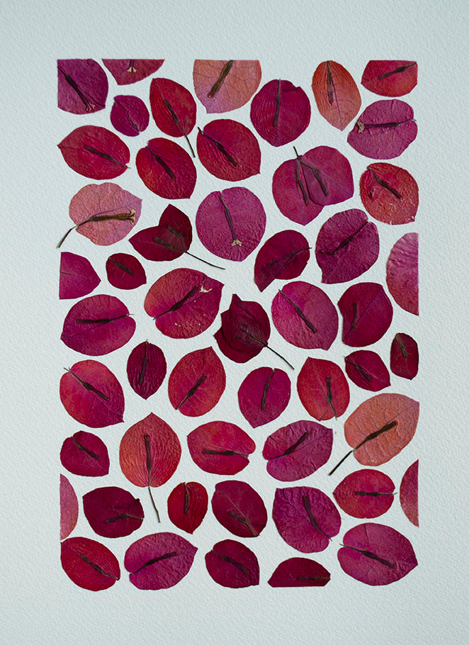 Bouganvillea Mix Puzzle B "S"