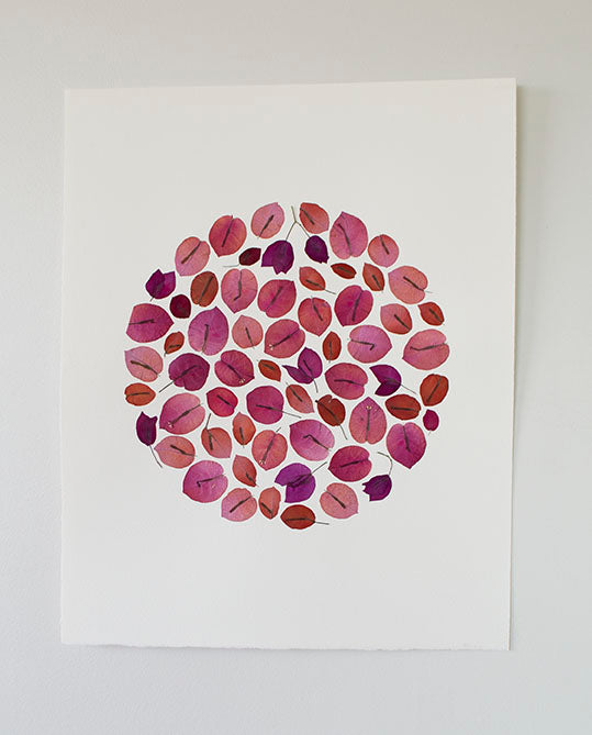 Bouganvillea Mix Circulo "L"