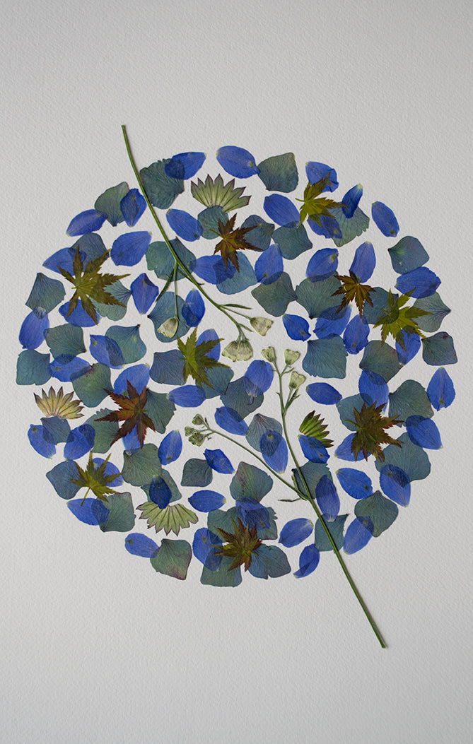 Circulo Azul y Verde "M"