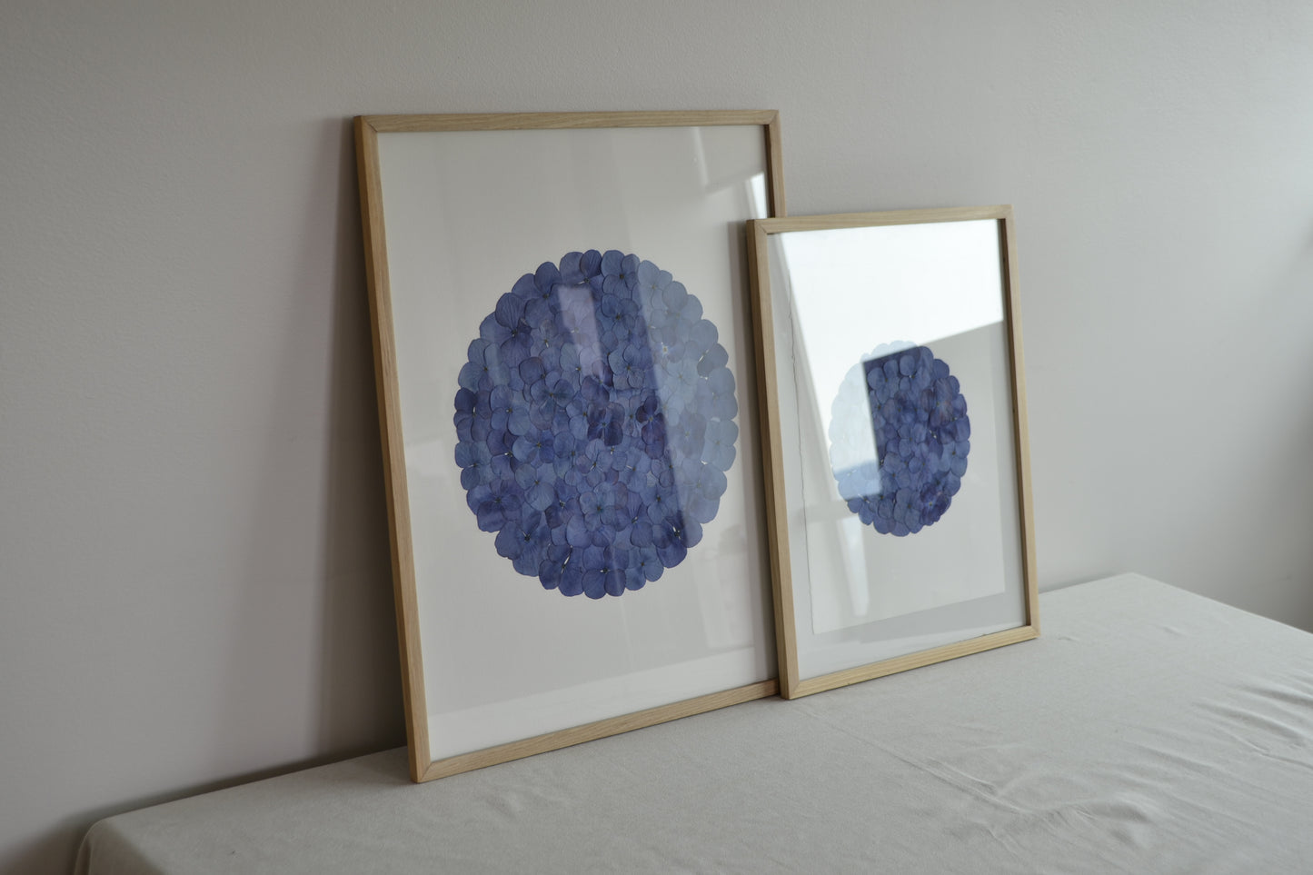 Hortensia Azul Circulo "S"