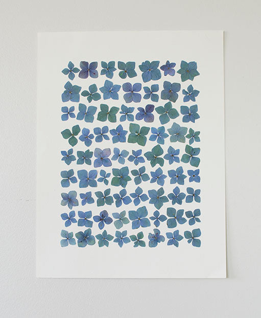 Hortensia Azul Damero "S"